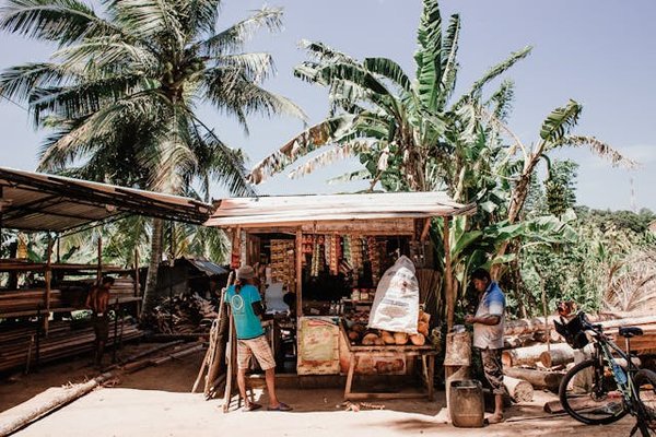 How to apply for the UK's 2023 rural business development grant?